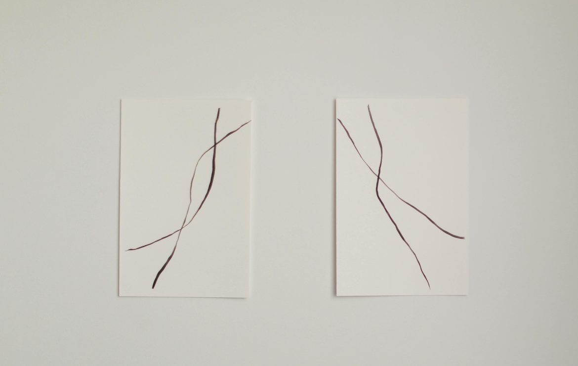 Cancelar la deuda de un autónomo y su pareja